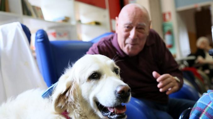 pet-therapy