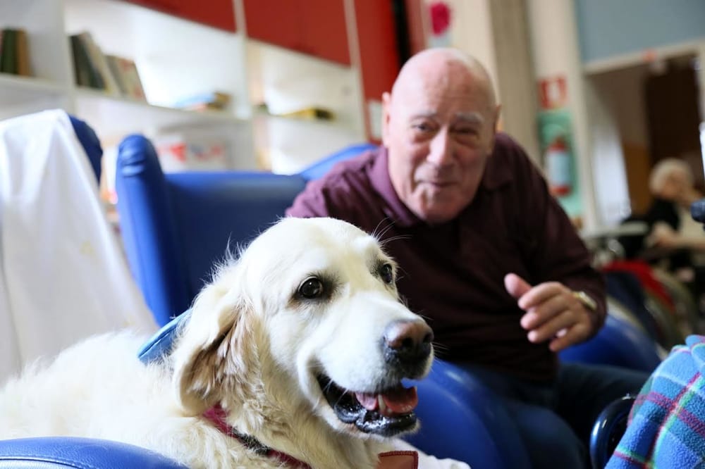 Vivere con un cane o un gatto aiuta 9 anziani su 10 – Facile Anziani